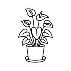 Simple line drawing of an anthurium plant in a pot