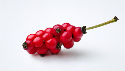 Single Red Schisandra Chinensis Berry Isolated On White Berry Has Black Seeds Leaves Attached To Stem Slightly To Its Right Central Position With Minimal Background Berry Is A Type Of Fruit
