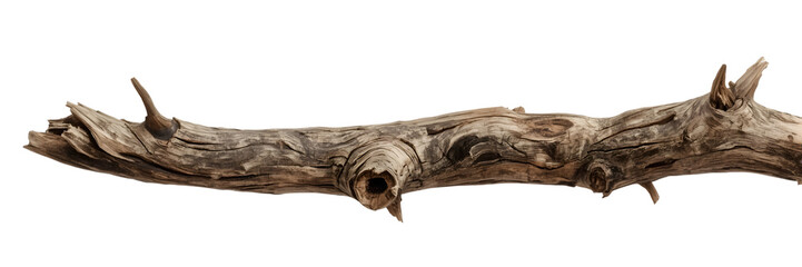 Fototapeta premium Weathered Branch in Isolation: A detailed study of a single, weathered branch, its gnarled texture and subtle tones telling a silent story of time and the elements.