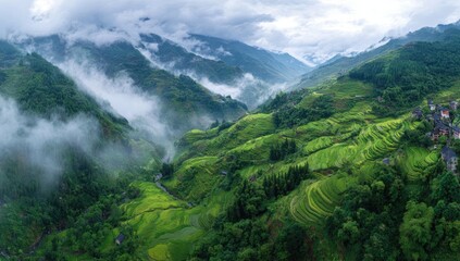 Naklejka premium Misty mountain valley with terraced rice paddies. Lush green rice paddies cascade down mountain slopes, carved into terraces. A winding river flows through the valley.