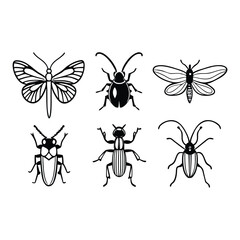 set of butterflies isolated on white