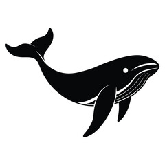 vector illustration of a cartoon shark