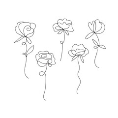 Elegant hand drawn rose line art collection simple floral designs for artistic projects white background