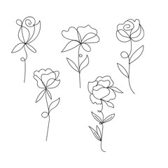 Elegant line art roses collection delicate floral graphics for artistic projects white background