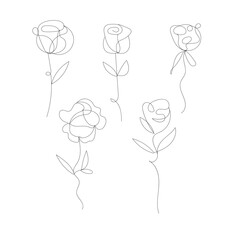 Artistic outline drawings of delicate roses with stem and leaves collection white background