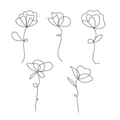 Simple sketch collection of five delicate rose flowers line art design white background