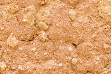 Texture of the shell rock limestone for background. Natural pattern