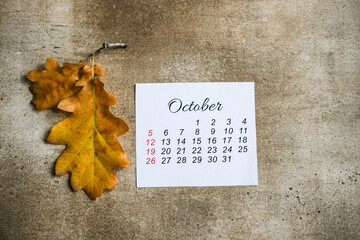 Small October calendar is placed on rustic stone background with faded autumn oak leaf. Beginning...