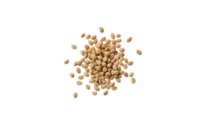 Pile of Wheat Grains: A captivating top-down shot of a small, concentrated mound of wheat grains, highlighting the organic and natural beauty of this essential food source.