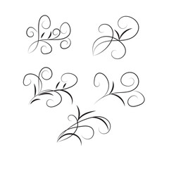Elegant flourish designs for decorative accents and embellishments white background