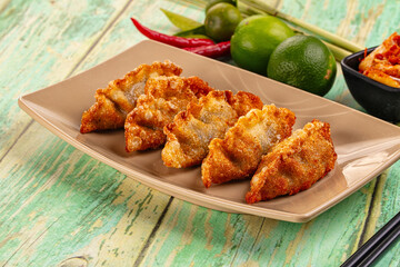 Asian fried stuffed dumplings gyoza