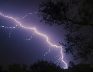 Naklejka premium Generative ai on theme of scary bright electric lightning bolt with branches in the night dark sky, lightning in the night sky. horroe movie banner