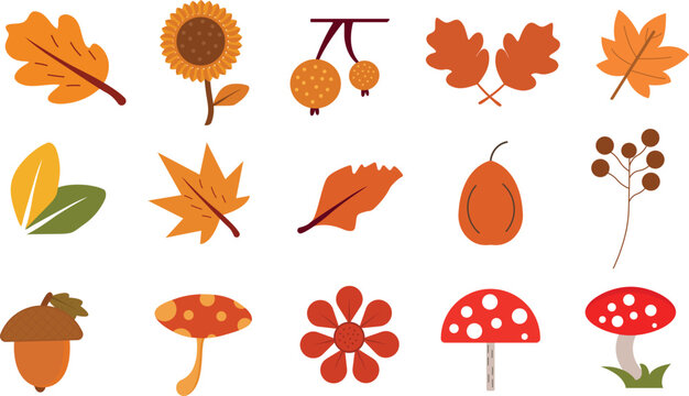 Autumn colorful leaf vector illustration set. red, yellow, and brown leaf collection and creative fall clipart set.