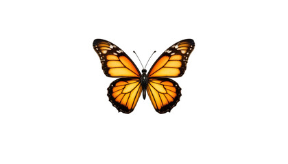 Obraz premium Majestic Monarch Butterfly Flying Gracefully Against A Dark Background