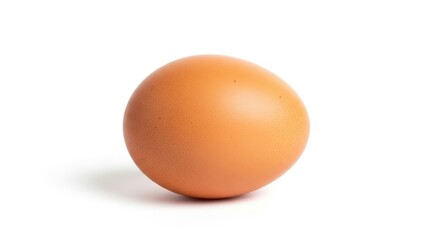 A single fresh brown chicken egg standing upright on a clean, seamless white background with a soft shadow.