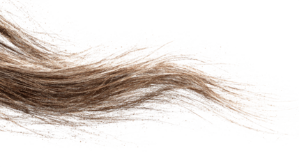 Soft grain sweep photo overlay effect isolated on transparent background 