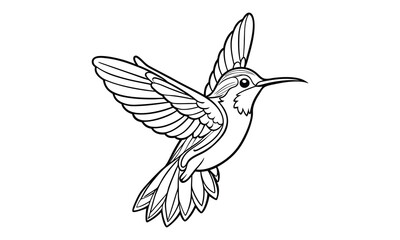 Hummingbird Kids t shirt design silhouette and vector line art, Detailed Line Art, Perfect for Relaxation and Stress Relief, Great for Adult Coloring Books or Printable Art Therapy.