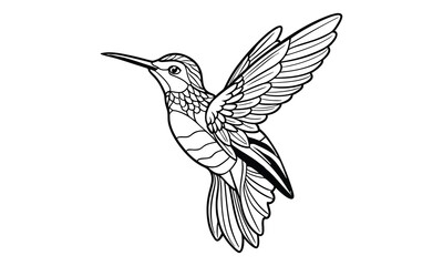 Fototapeta premium Hummingbird Kids t shirt design silhouette and vector line art, Detailed Line Art, Perfect for Relaxation and Stress Relief, Great for Adult Coloring Books or Printable Art Therapy.