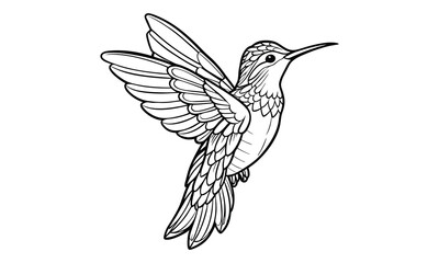 Naklejka premium Hummingbird Kids t shirt design silhouette and vector line art, Detailed Line Art, Perfect for Relaxation and Stress Relief, Great for Adult Coloring Books or Printable Art Therapy.