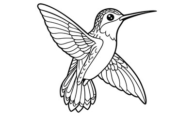 Fototapeta premium Hummingbird Kids t shirt design silhouette and vector line art, Detailed Line Art, Perfect for Relaxation and Stress Relief, Great for Adult Coloring Books or Printable Art Therapy.