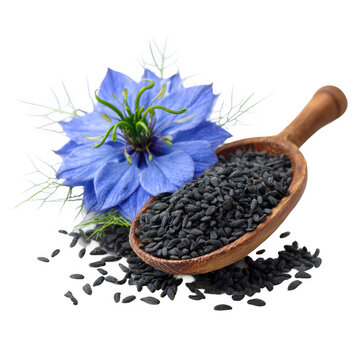 black cumin seeds with nigella sativa flower [Transparent Background PNG]