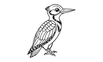 Fototapeta premium Woodpecker Kids t shirt design silhouette and vector line art, Detailed High-Quality Line Art, Suitable for Adult Coloring Books, Stress Relief, Relaxation, and Printable Art Therapy Projects.