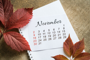 November calendar on blank spiral notebook surrounded by dark red autumn leaves. Beginning of the fall season, seasonal change and planning for autumn holidays