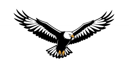 Fototapeta premium Bald eagle in flight