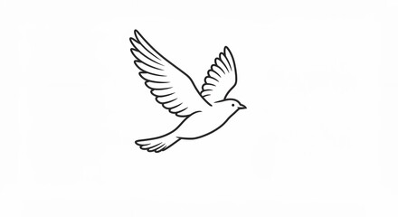 Obraz premium White bird in flight