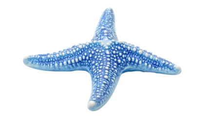Blue Starfish  isolated on a Transparent or white Background
