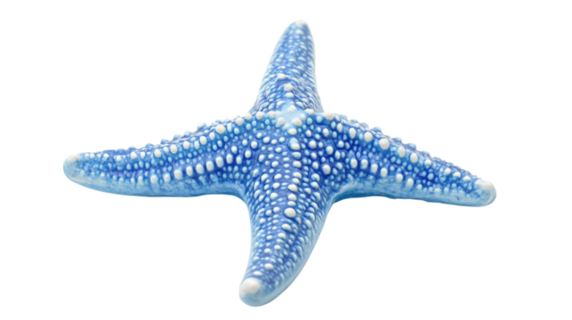 Blue Starfish  isolated on a Transparent or white Background