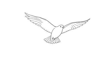 Bird in flight line art