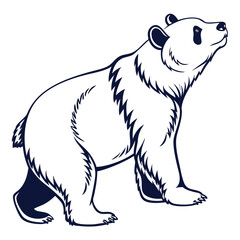 polar bear vector illustration, vector art illustration, animals