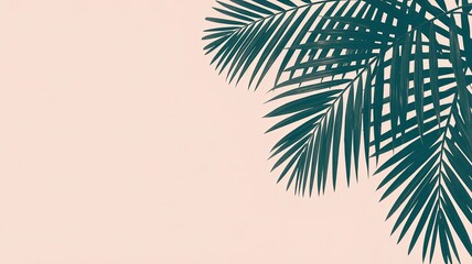 Palm Fronds on Light Background: Delicate palm fronds, their intricate leaves casting subtle shadows against a warm, light backdrop, offer a minimalist aesthetic.