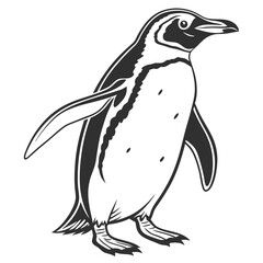 penguin vector illustration, Animal Vector art Design, Black & White Penguin Vector Design illustrations, Vector art Penguin