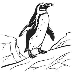 penguin vector illustration, Animal Vector art Design, Black & White Penguin Vector Design illustrations, Vector art Penguin