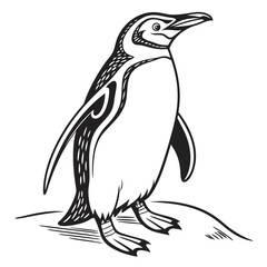 penguin vector illustration, Animal Vector art Design, Black & White Penguin Vector Design illustrations, Vector art Penguin