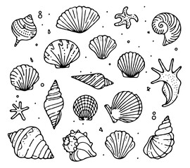 Collection Various Outline Black And White Drawing Seashells. Set Hand Drawn Doodle Snails and Shells, Starfish sketch Illustrations. Line Art Coastal Themes. Sea Elements, Marine Mollusks, Corals