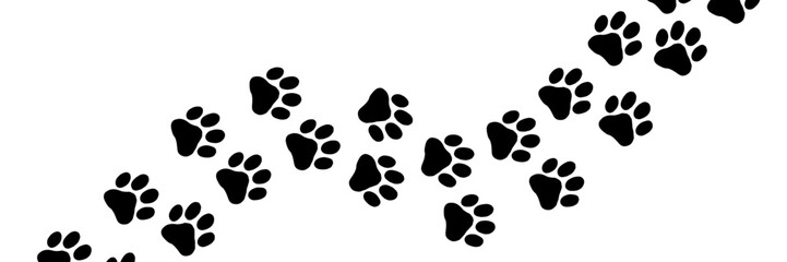 Paw print and cat footprint pattern with puppy track for a pet vector background or animal icon design. This cute illustration features bear and tiger silhouettes with animal step traces, perfect for 