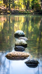 Calm stones on a tranquil river