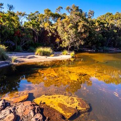 Calm water reflecting trees and rocks