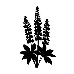 Lupine flower vector illustration, floral design element, botanical art, wildflower silhouette, garden plant drawing