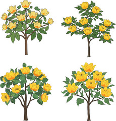 Yellow flowering trees illustration, botanical clipart set, spring garden decor, floral plant collection, blooming tree graphic, nature art element