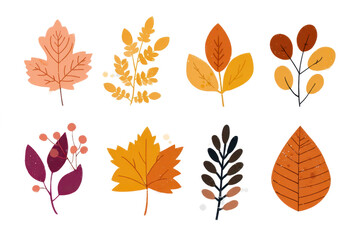 set of autumn leaves Cutout  
