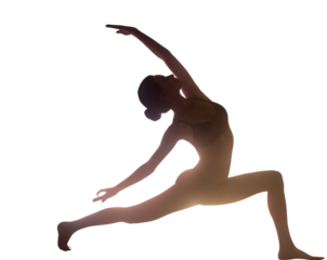  Silhouette Yoga Pose Against Mandala Pattern 