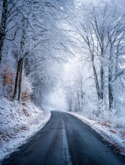 Fototapeta premium Serene winter forest road shrouded in snow and mist