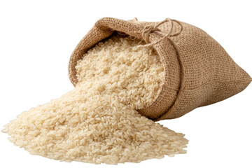 Sacked Rice Spilling Out on a White Background uncooked rice