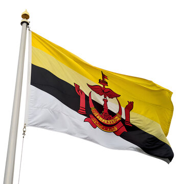 The national flag of brunei waving on a flagpole, isolated on transparent background