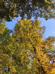 Fototapeta premium Beautiful nature photos