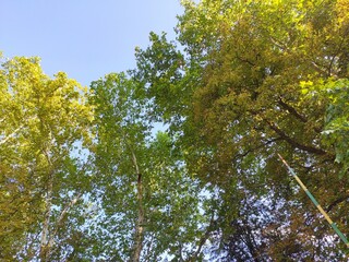 Beautiful nature photos